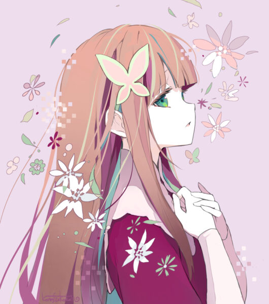 ロックマンエグゼ アイリス